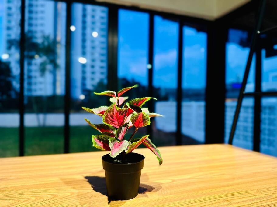 Beachside Antique Villa@14 Pax George Town